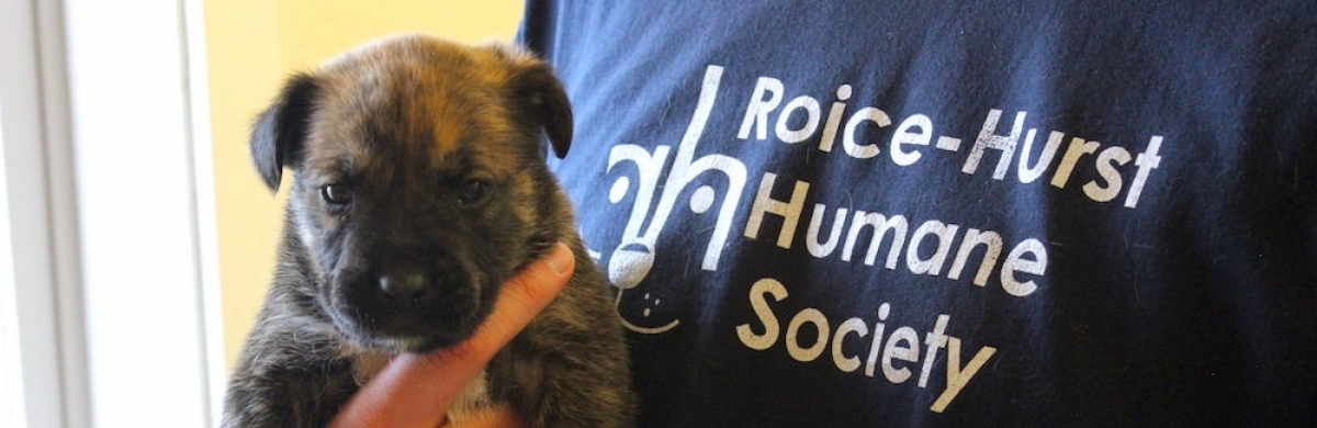 Roice-Hurst Humane Society